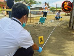 Polish_20250501_144512755