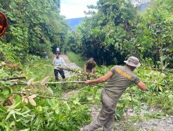 Polish_20250504_094243253