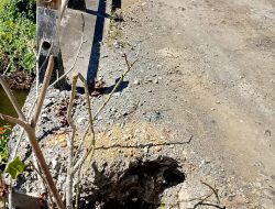 Polish_20250505_172155849