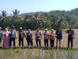 Polish_20250506_074330511