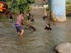 Antusias pemuda Parung sapi Sabrang bersihkan sampah di Sungai Cidurian Polish_20250523_104052723