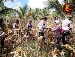 Polish_20250527_223022470