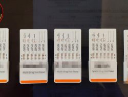 Polish_20250528_135431220