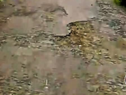 Polish_20250629_192128827