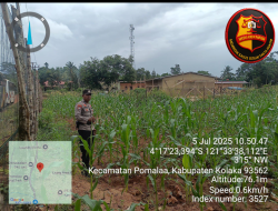 Polish_20250706_073752053