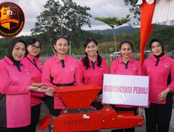 Polish_20250709_082734163