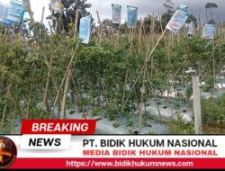 Screenshot_20251209-170953_1