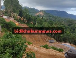 Screenshot_20260219-022555_1