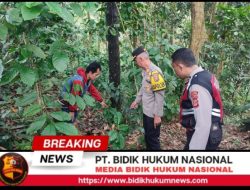 Screenshot_20260302-160748_1