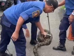 Screenshot_20260303-150800_1