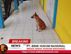 Screenshot_20260311-111312_1