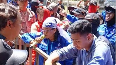 Gallery_1776865381364