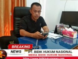 Gallery_1777193851337