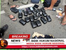 Gallery_1777310662650