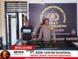 Gallery_1777532247731