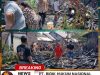 Kebakaran Menimpa Rumah Lansia di Moilong, Banggai, Polisi Bantu Padamkan Api Screenshot_20260402-165952_1