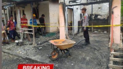 Gallery_1778408534295