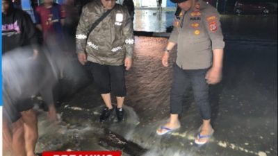 Gallery_1779690985046