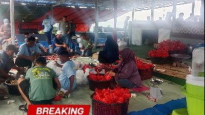 Gallery_1780138203499
