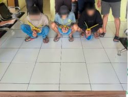 Gallery_1781959095930