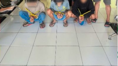 Gallery_1781959095930
