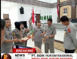 Gallery_1782624579811