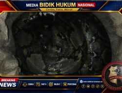 Screenshot_20260716-223830_1