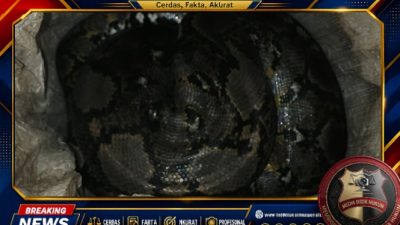Screenshot_20260716-223830_1