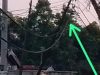 Tiang Listrik Doyong, Warga Sebut Tunggu Korban baru Diperbaiki Screenshot_20260724-102819_1